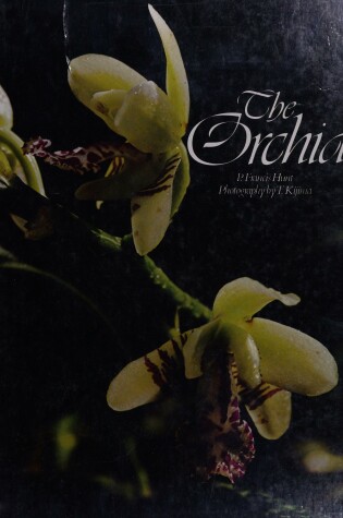 Cover of The Orchid