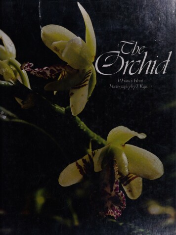 Book cover for The Orchid