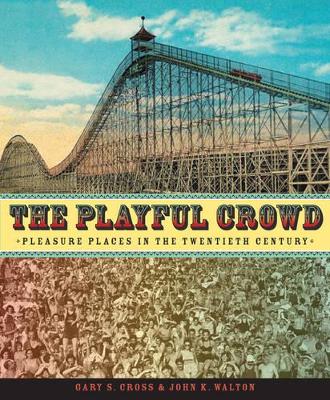 Book cover for The Playful Crowd
