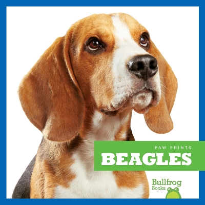 Book cover for Beagles