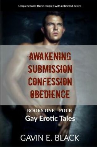 Cover of Gay Erotic Tales