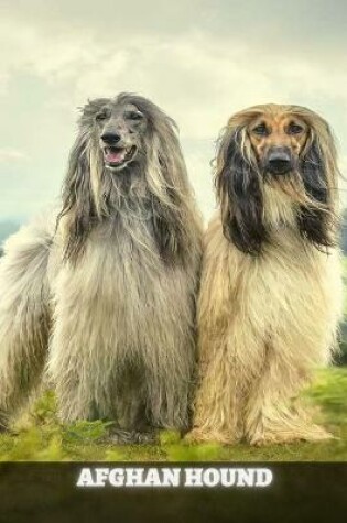 Cover of Afghan Hound