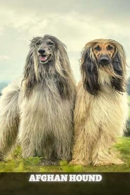 Book cover for Afghan Hound