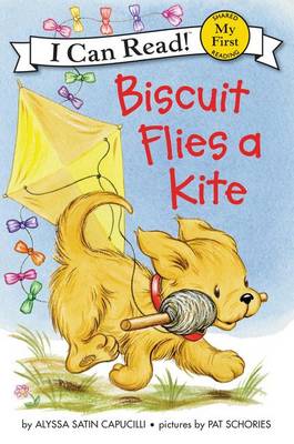 Cover of Biscuit Flies A Kite