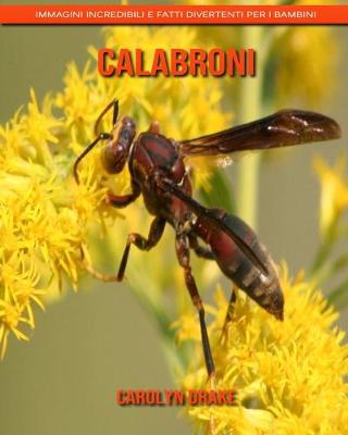 Book cover for Calabroni