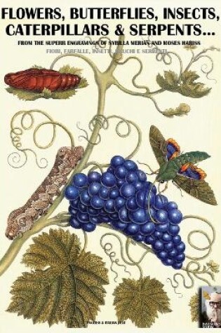 Cover of flowers, butterflies, insects, caterpillars & serpents...