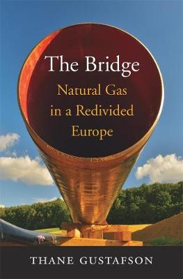 Book cover for The Bridge