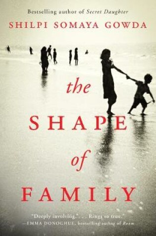 Cover of The Shape of Family