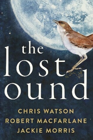 Cover of The Lost Sounds