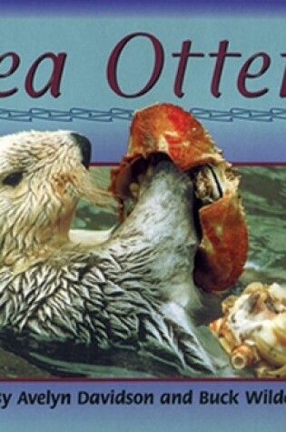 Cover of Sea Otters (20)