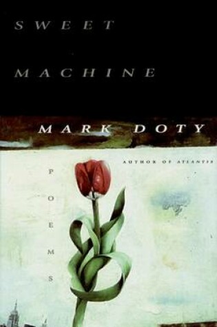 Cover of Sweet Machine