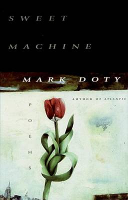 Book cover for Sweet Machine