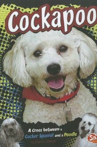 Cover of Cockapoo