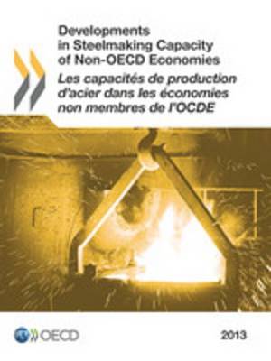 Book cover for Developments in Steelmaking Capacity of Non-OECD Economies 2013