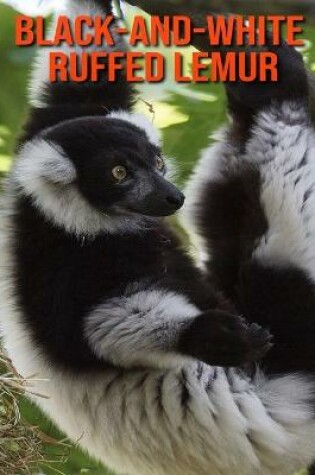 Cover of Black-and-White Ruffed Lemur