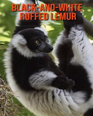 Book cover for Black-and-White Ruffed Lemur