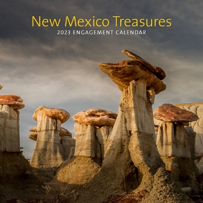 Book cover for New Mexico Treasures 2023