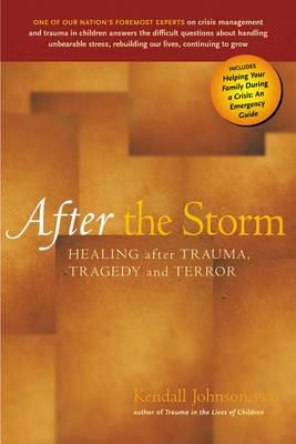 Book cover for After the Storm