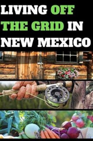 Cover of Living Off the Grid in New Mexico