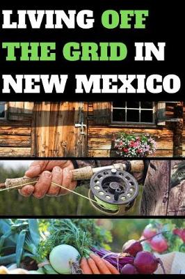 Book cover for Living Off the Grid in New Mexico