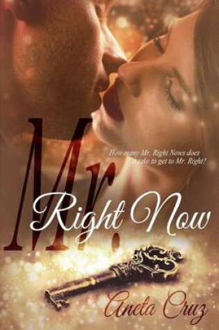 Cover of Mr. Right Now