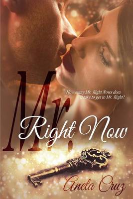 Book cover for Mr. Right Now