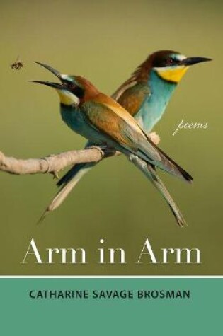 Cover of Arm in Arm