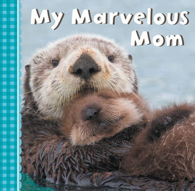 Book cover for My Marvelous Mom