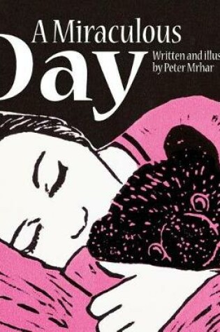 Cover of A Miraculous Day