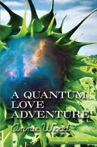Cover of A Quantum Love Adventure