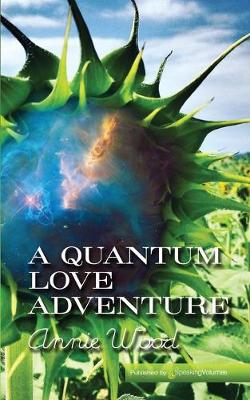 Book cover for A Quantum Love Adventure