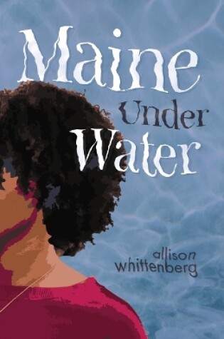 Cover of Maine Under Water