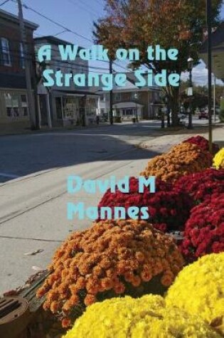 Cover of A Walk on the Strange Side