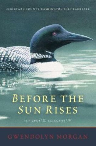 Cover of Before the Sun Rises