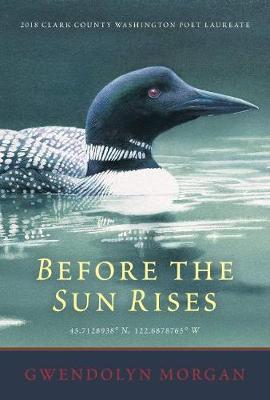 Book cover for Before the Sun Rises