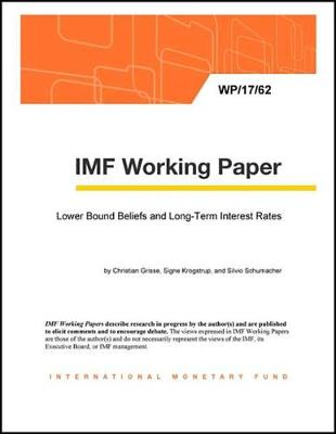 Book cover for Lower Bound Beliefs and Long-Term Interest Rates