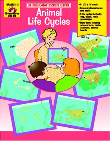 Book cover for Animal Life Cycles /Picture Cards (24 Cards)