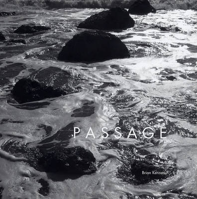 Book cover for Passage