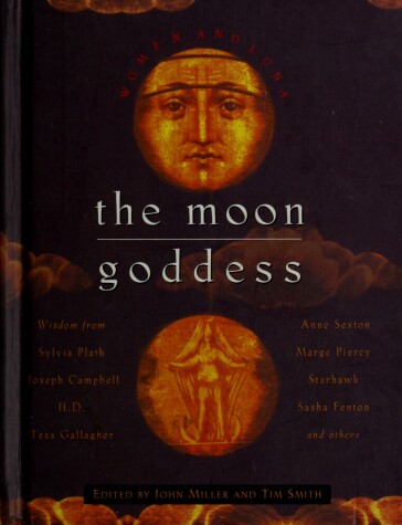 Book cover for Moon Box