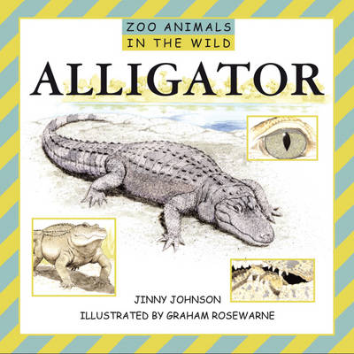 Book cover for Alligators