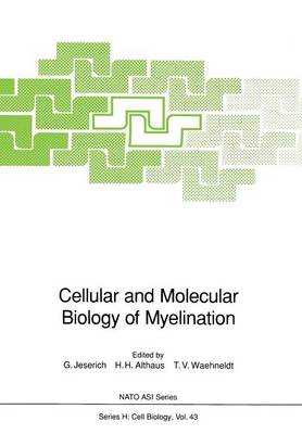 Cover of Cellular and Molecular Biology of Myelination