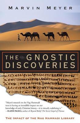 Book cover for The Gnostic Discoveries