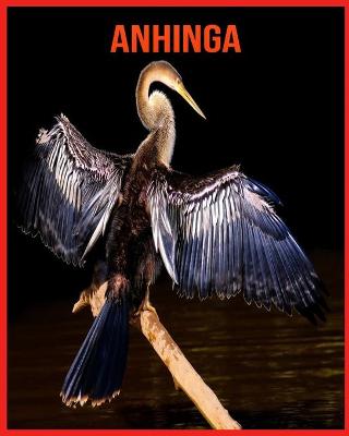 Book cover for Anhinga