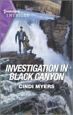 Book cover for Investigation in Black Canyon