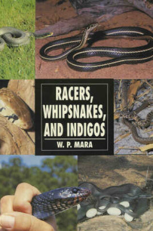 Cover of Racers, Whipsnakes and Indigos