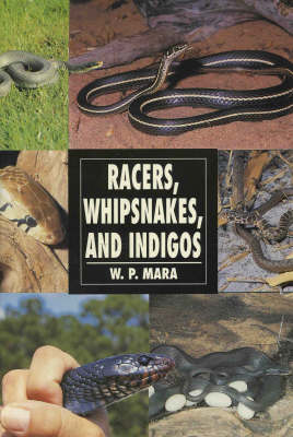 Book cover for Racers, Whipsnakes and Indigos