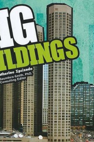 Cover of Big Buildings