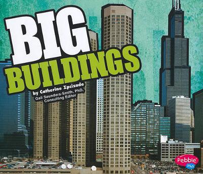 Book cover for Big Buildings