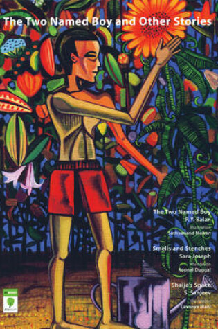 Cover of Two Named Boy and Other Stories