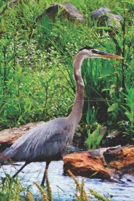 Book cover for Grey Heron Journal for daily thoughts notebook Lovely Lake Arrowhead Photograph